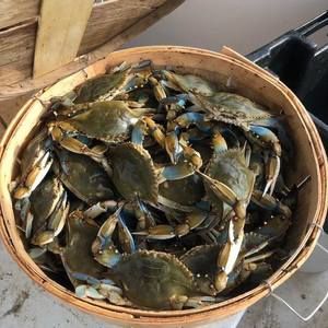 Meet your Posher, Floyd